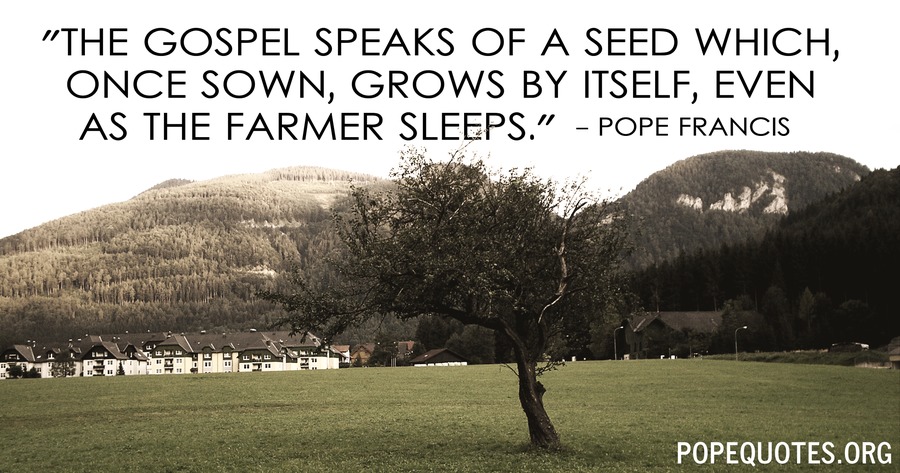 Pope Francis: The gospel speaks of a seed which once sown…
